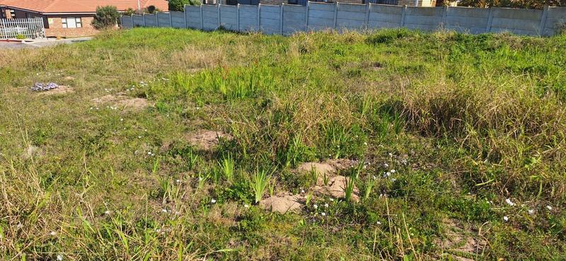 0 Bedroom Property for Sale in Tergniet Western Cape